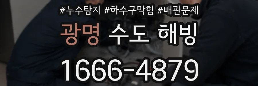 광명 수도 해빙