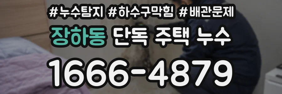 장하동 단독 주택 누수