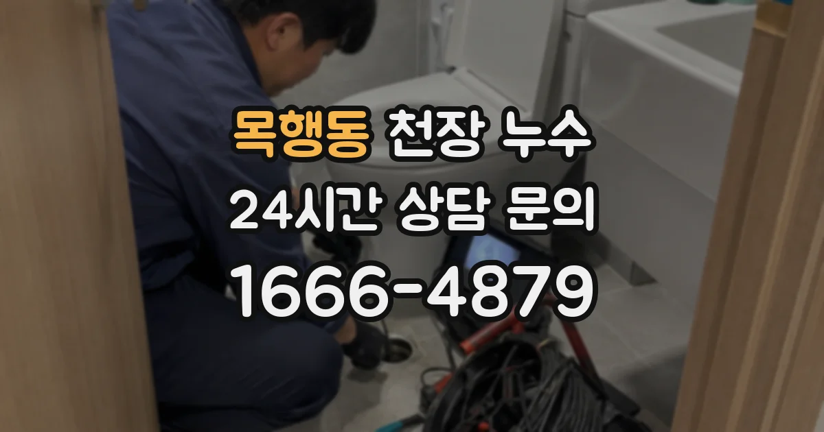 목행동 천장 누수