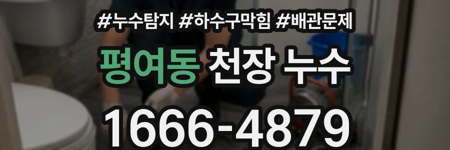 평여동 천장 누수