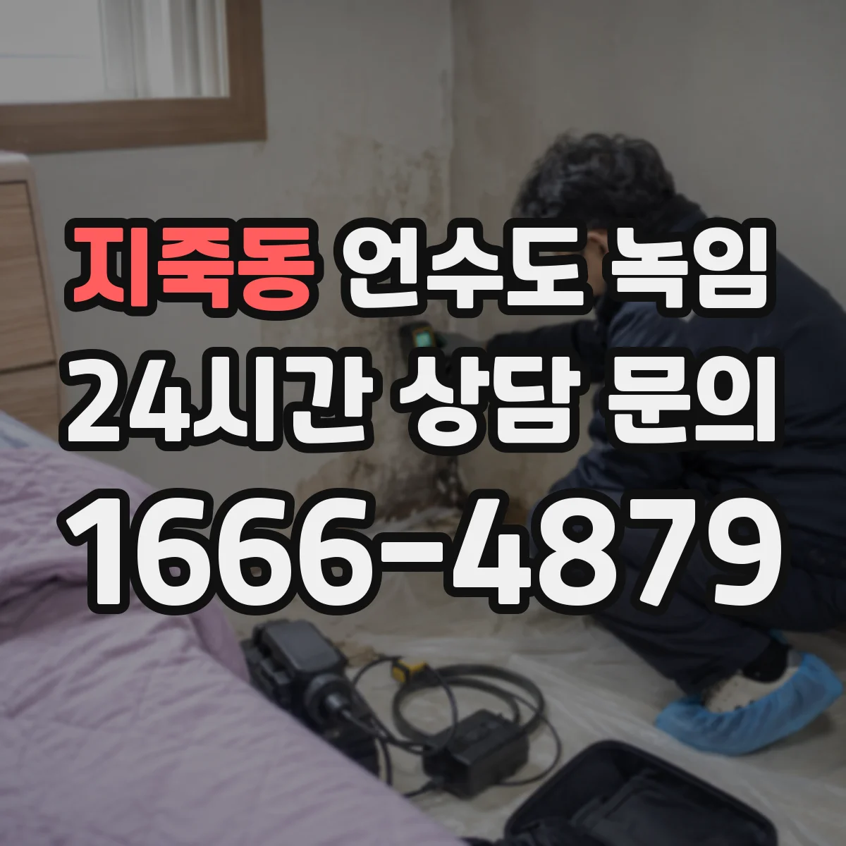 지죽동 언수도 녹임