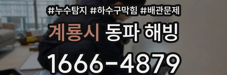 계룡시 동파 해빙