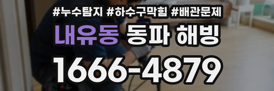 내유동 동파 해빙