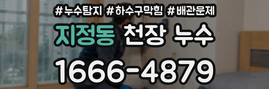 지정동 천장 누수