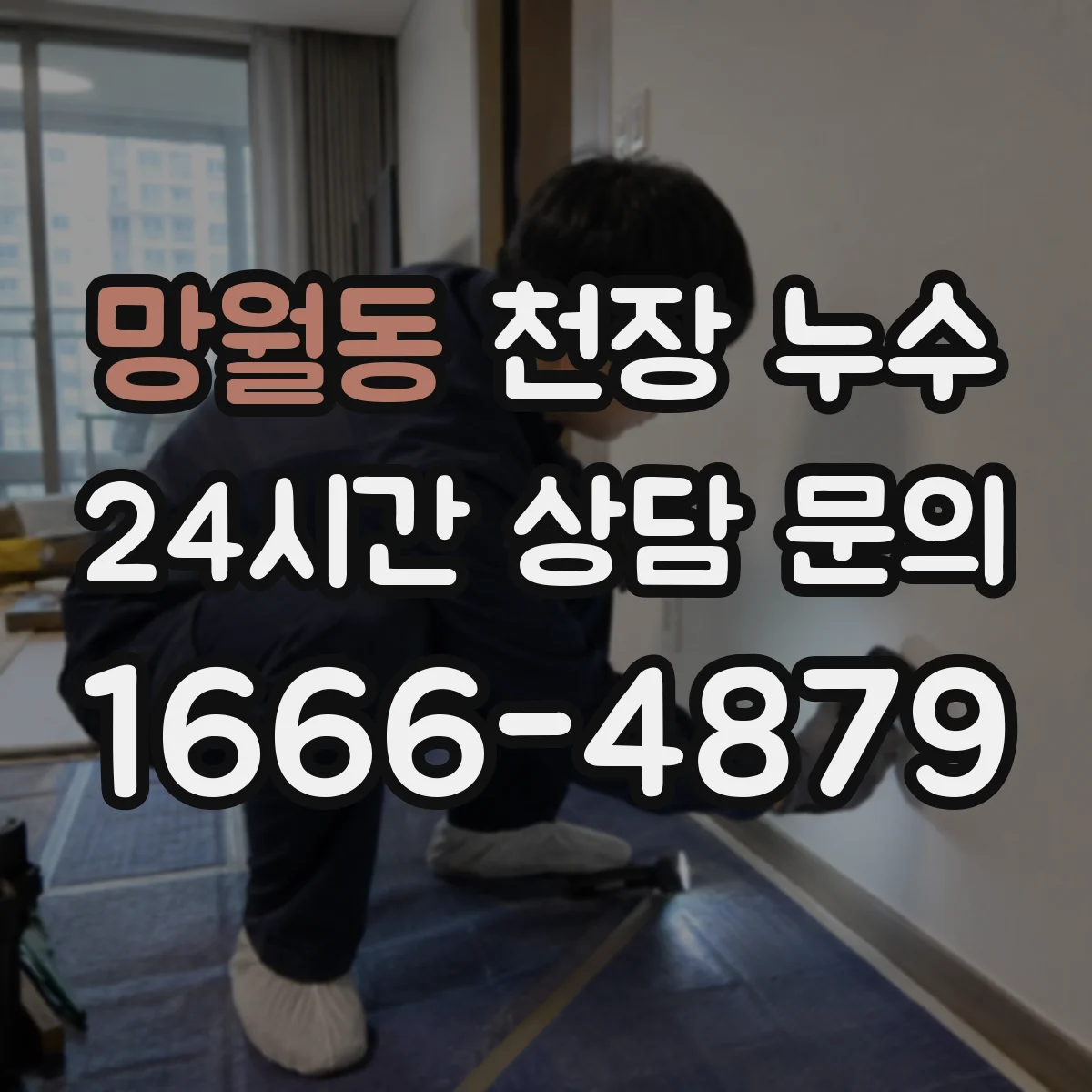 망월동 천장 누수