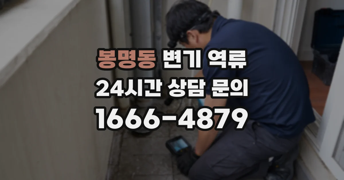 봉명동 변기 역류
