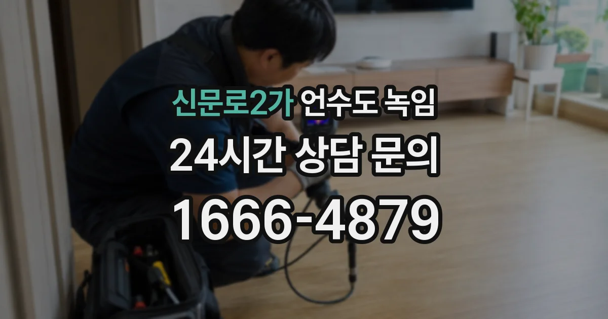 신문로2가 언수도 녹임