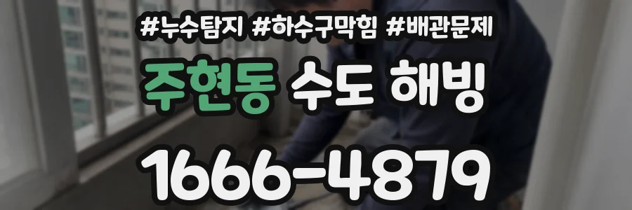 주현동 수도 해빙