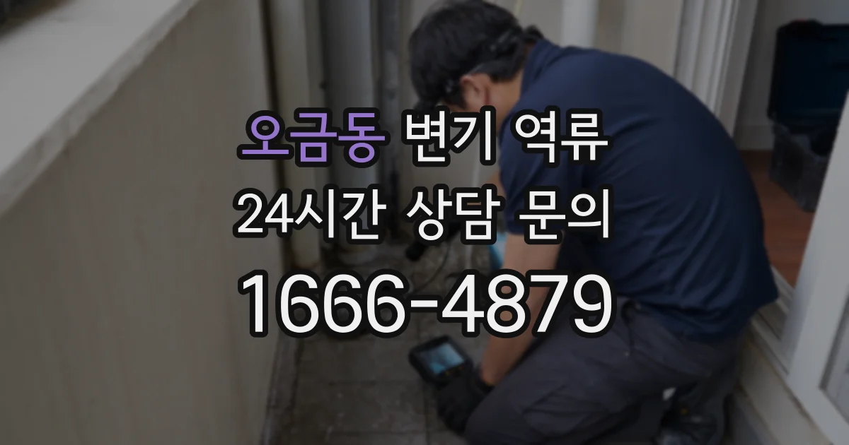 오금동 변기 역류
