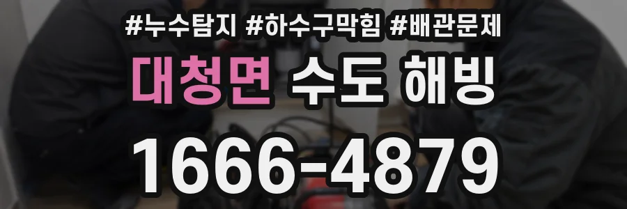 대청면 수도 해빙