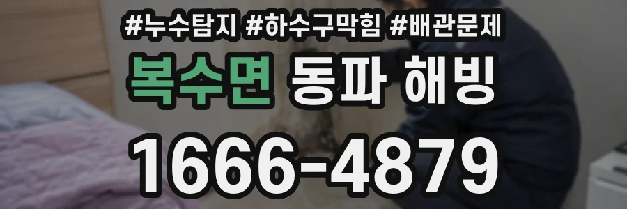복수면 동파 해빙