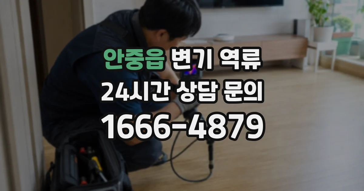안중읍 변기 역류