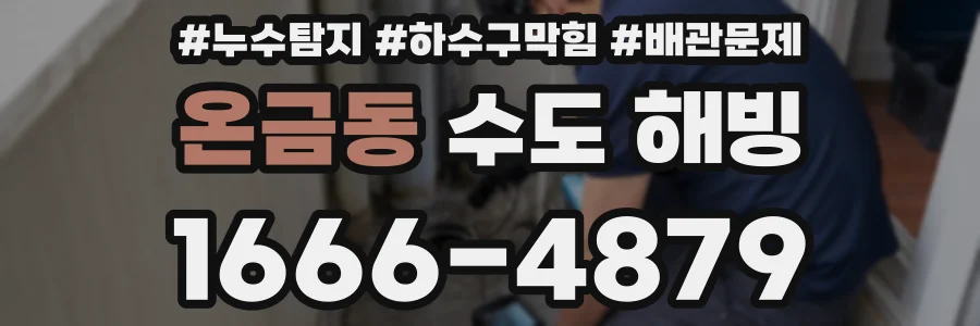 온금동 수도 해빙