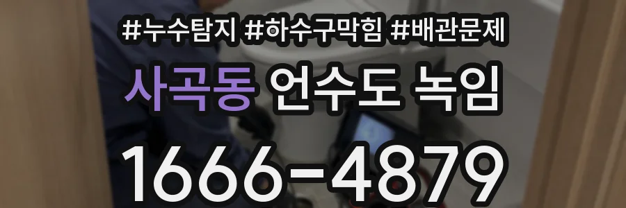 사곡동 언수도 녹임