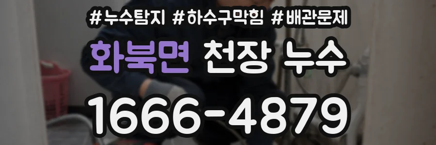 화북면 천장 누수
