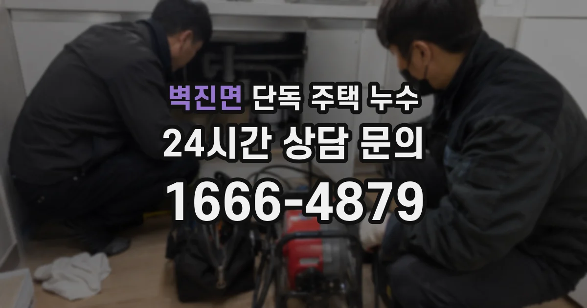 벽진면 단독 주택 누수