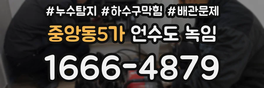 중앙동5가 언수도 녹임