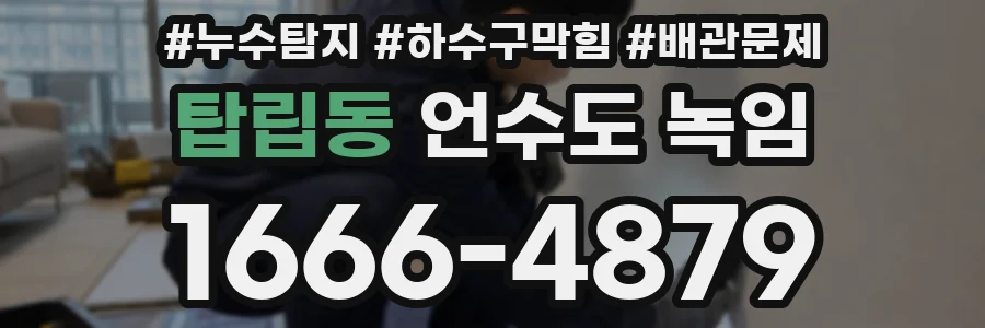 탑립동 언수도 녹임