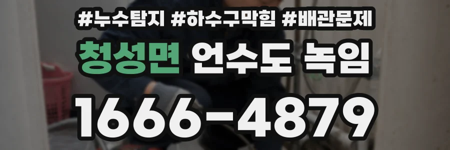 청성면 언수도 녹임