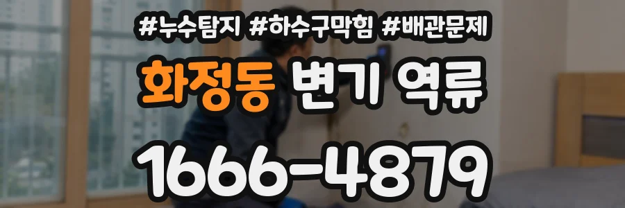 화정동 변기 역류