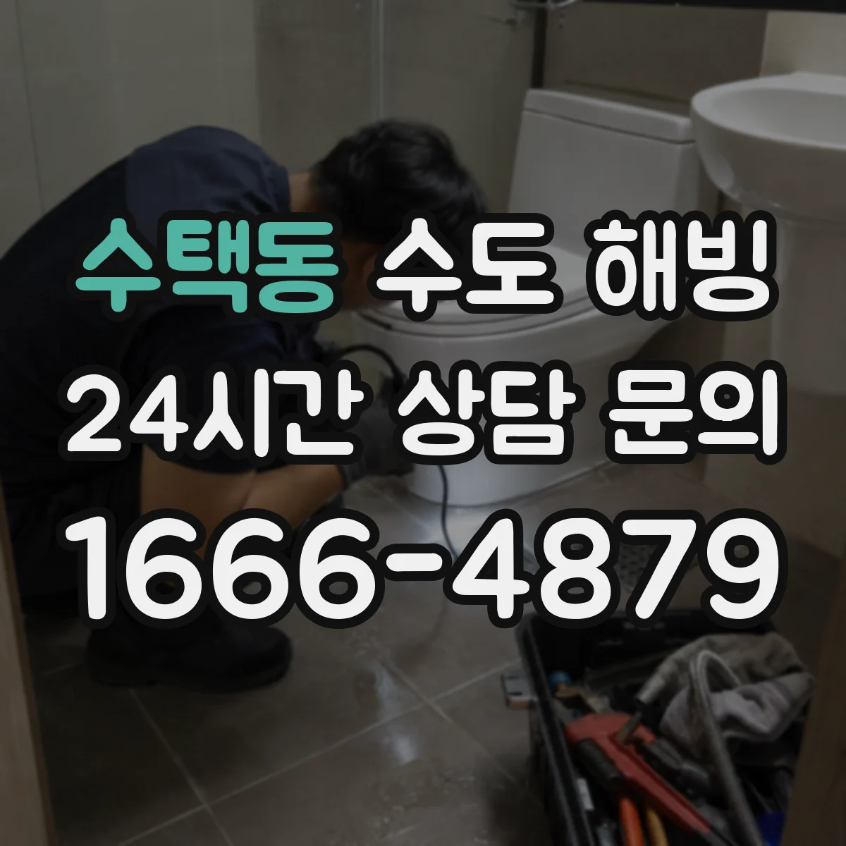 수택동 수도 해빙