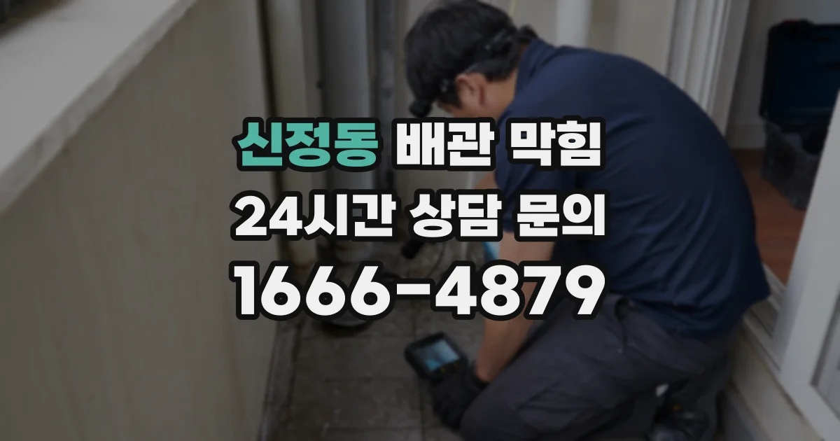 신정동 배관 막힘