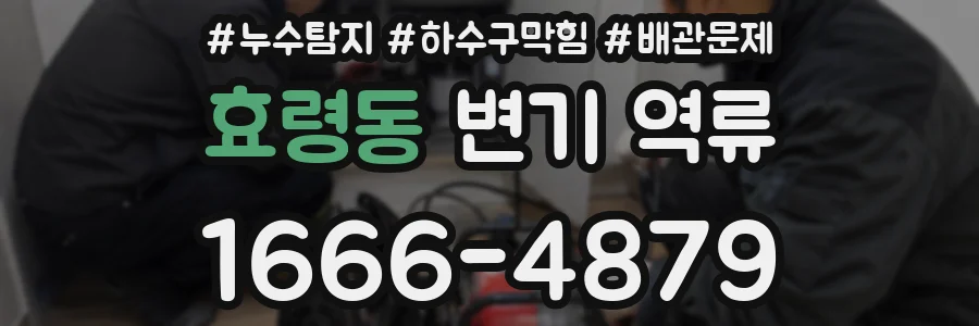 효령동 변기 역류