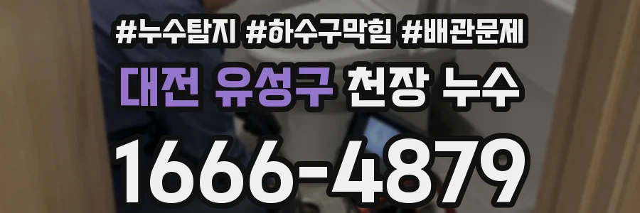 대전 유성구 천장 누수