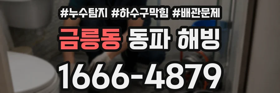 금릉동 동파 해빙