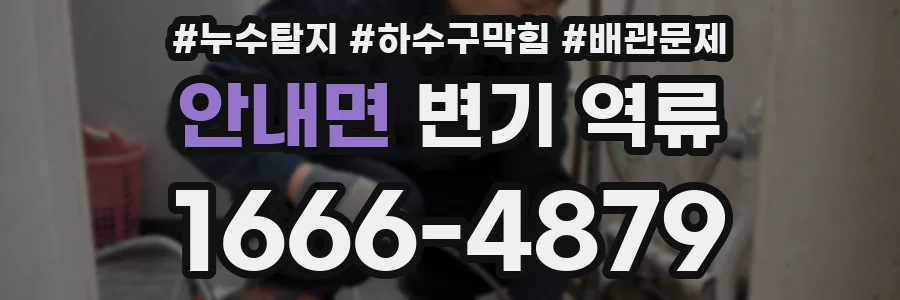 안내면 변기 역류