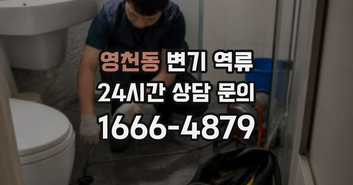 영천동 변기 역류