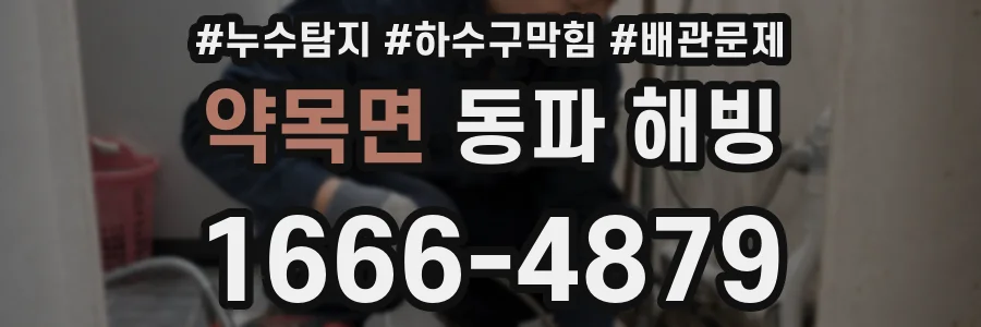 약목면 동파 해빙
