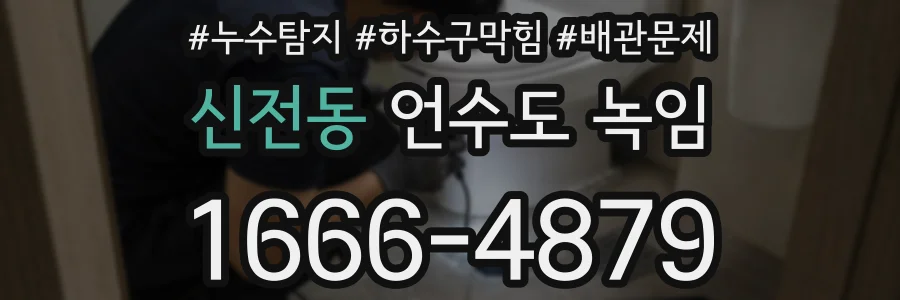 신전동 언수도 녹임