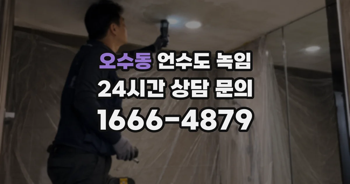 오수동 언수도 녹임