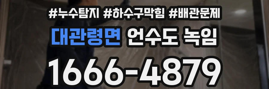 대관령면 언수도 녹임
