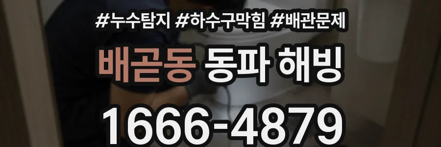 배곧동 동파 해빙