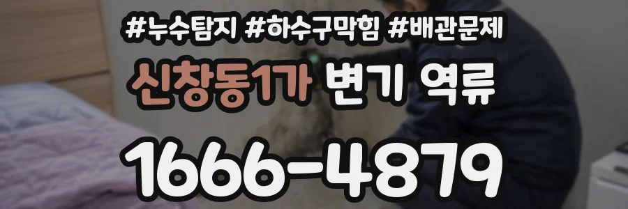 신창동1가 변기 역류