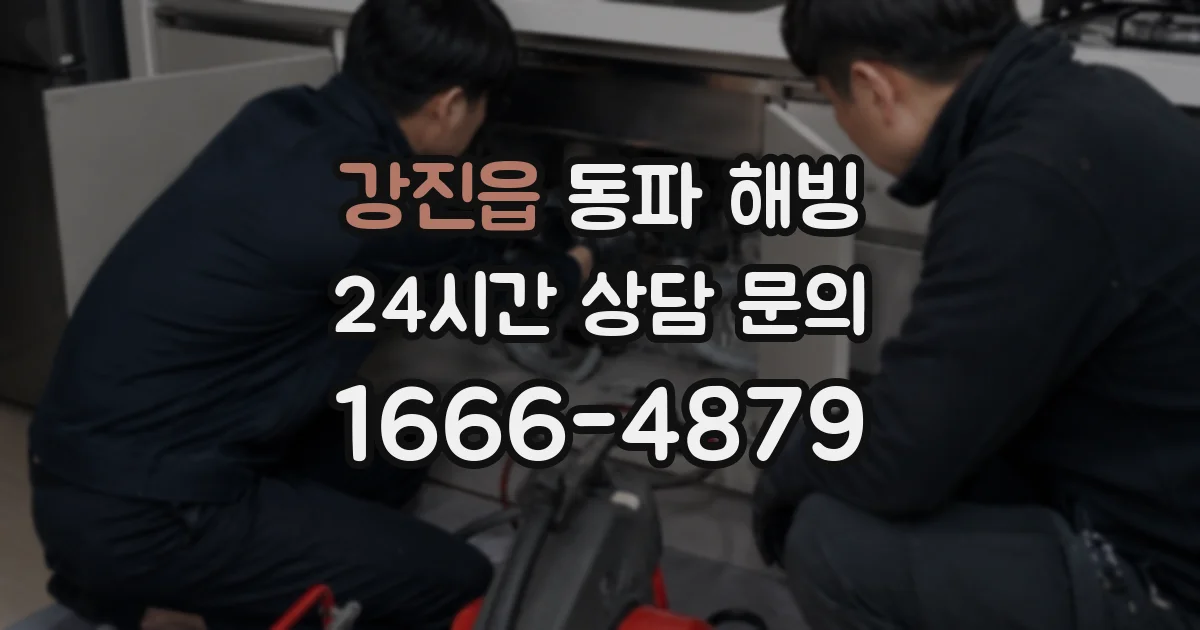 강진읍 동파 해빙