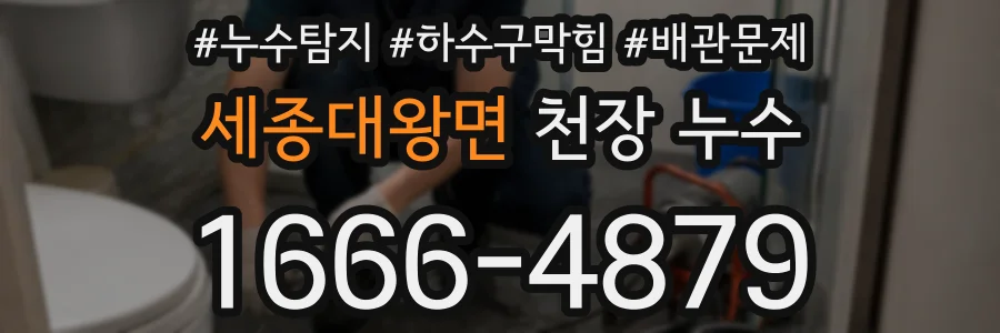 세종대왕면 천장 누수