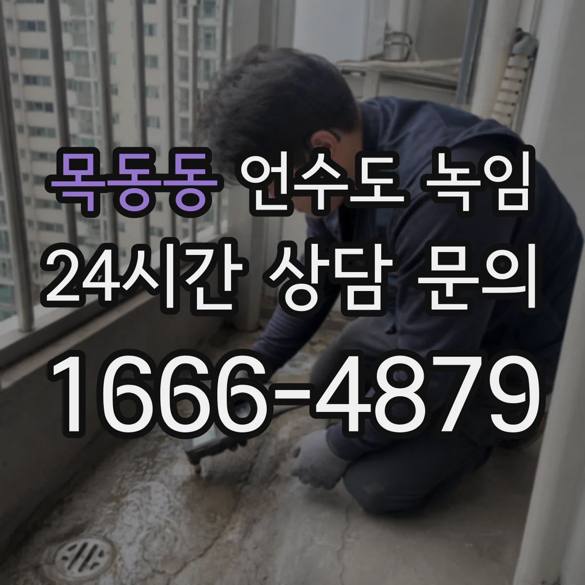 목동동 언수도 녹임