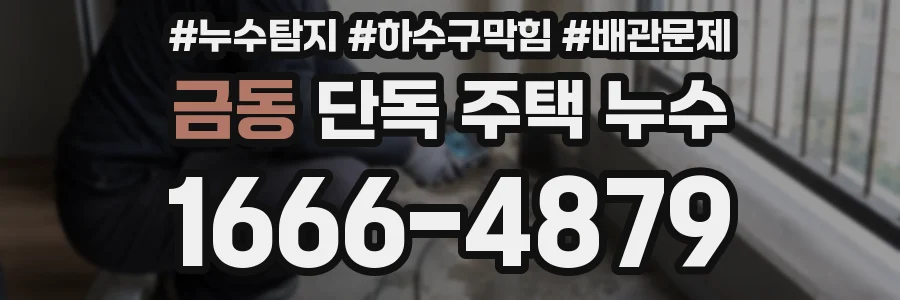 금동 단독 주택 누수
