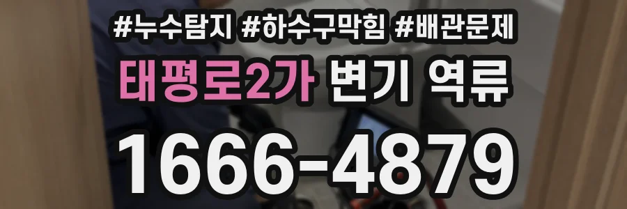 태평로2가 변기 역류