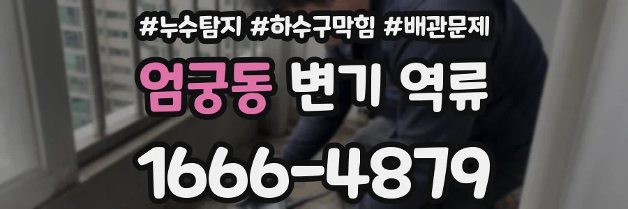 엄궁동 변기 역류