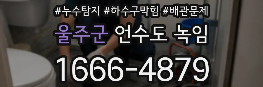 울주군 언수도 녹임