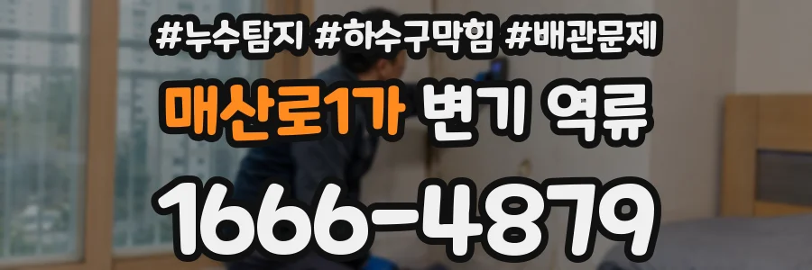 매산로1가 변기 역류