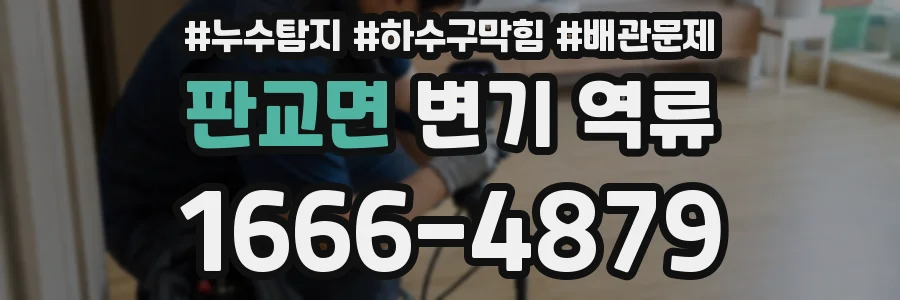 판교면 변기 역류