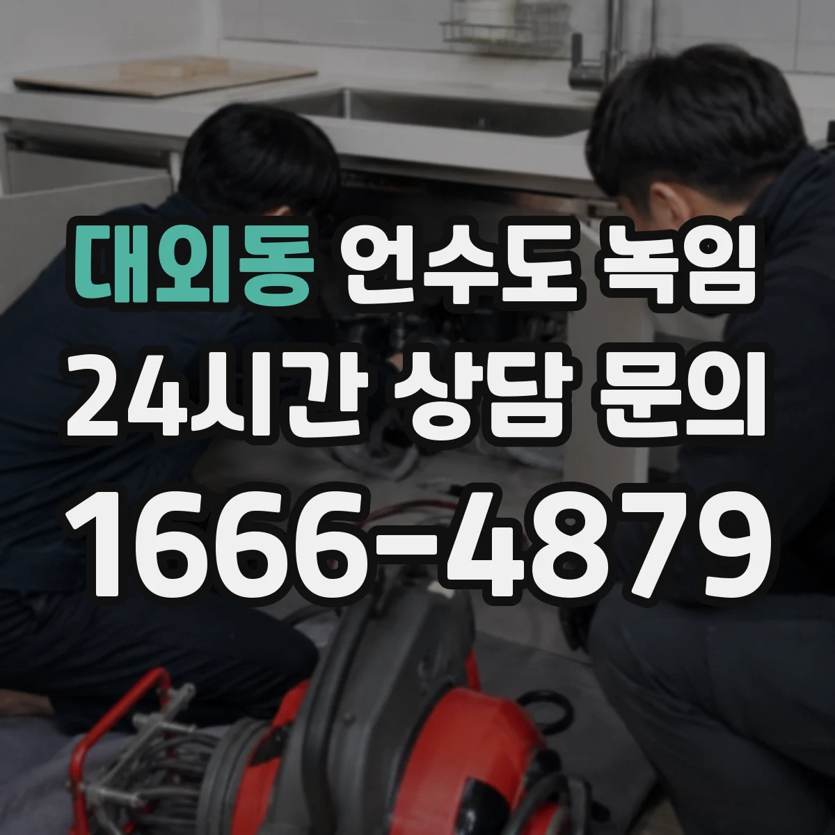 대외동 언수도 녹임