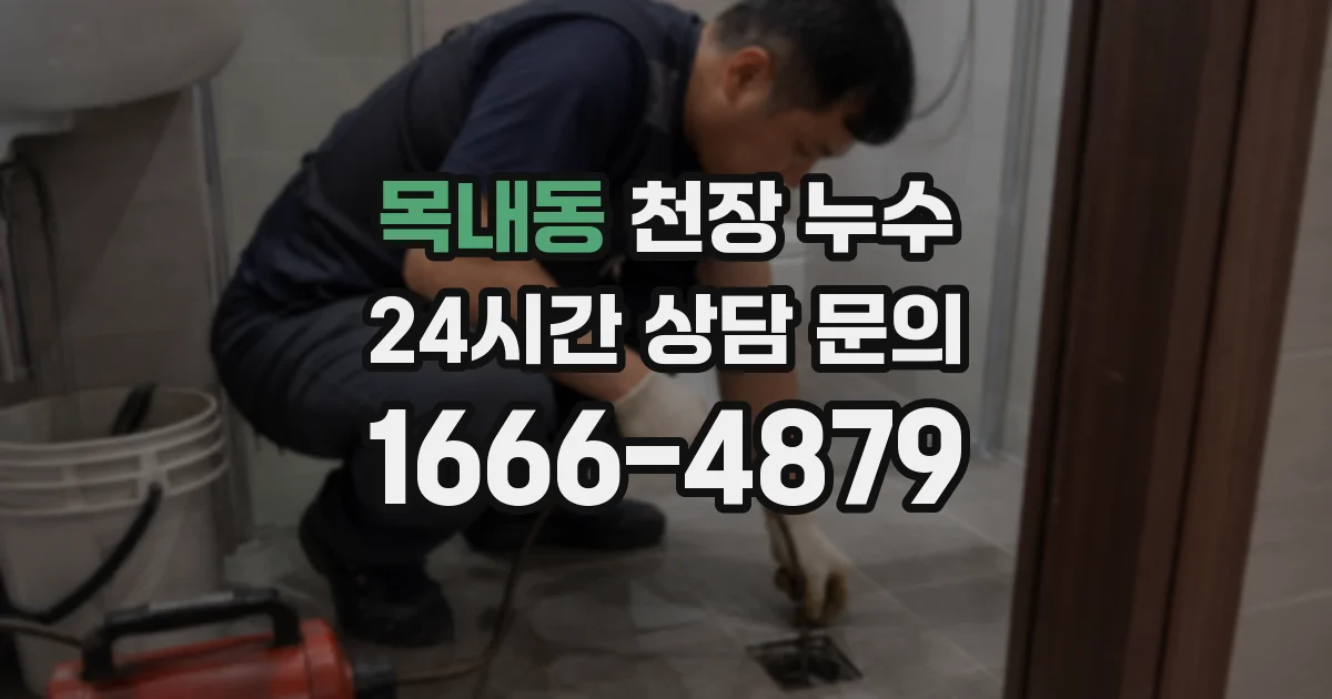 목내동 천장 누수