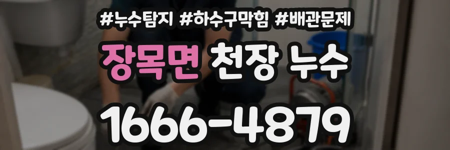 장목면 천장 누수