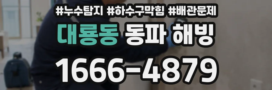 대룡동 동파 해빙